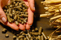free Lealt biomass boiler quotes