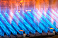 Lealt gas fired boilers